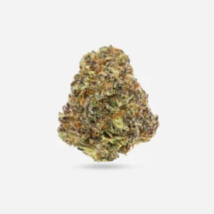 Banana Sherbet