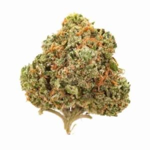 Buy Blueberry Kush Online