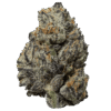 Black Truffle