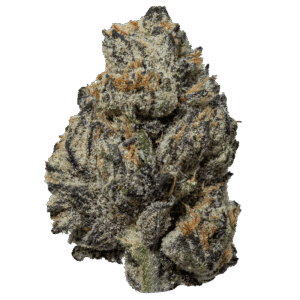 Black Truffle